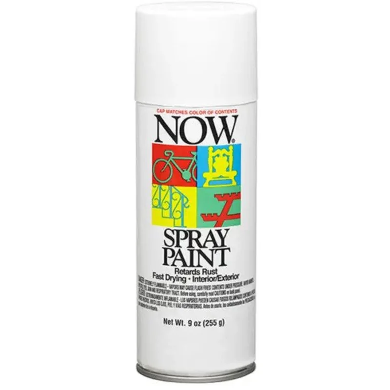 9 Oz Krylon 21215 Wrought Iron White Now Enamel Spray Paint Flat White