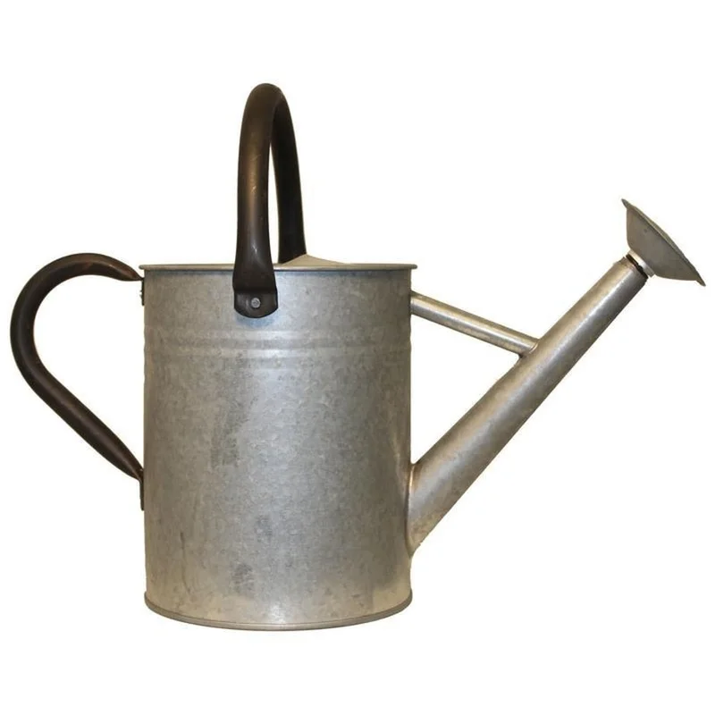 AGED GALVANIZED WATERING CAN GALVANIZED