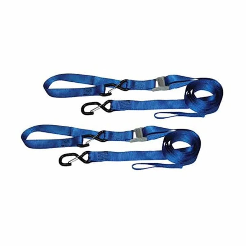 Ancra Cargo 1.25 x 8 Cam Buckle Motorsports Tie-Downs, 2 Pack