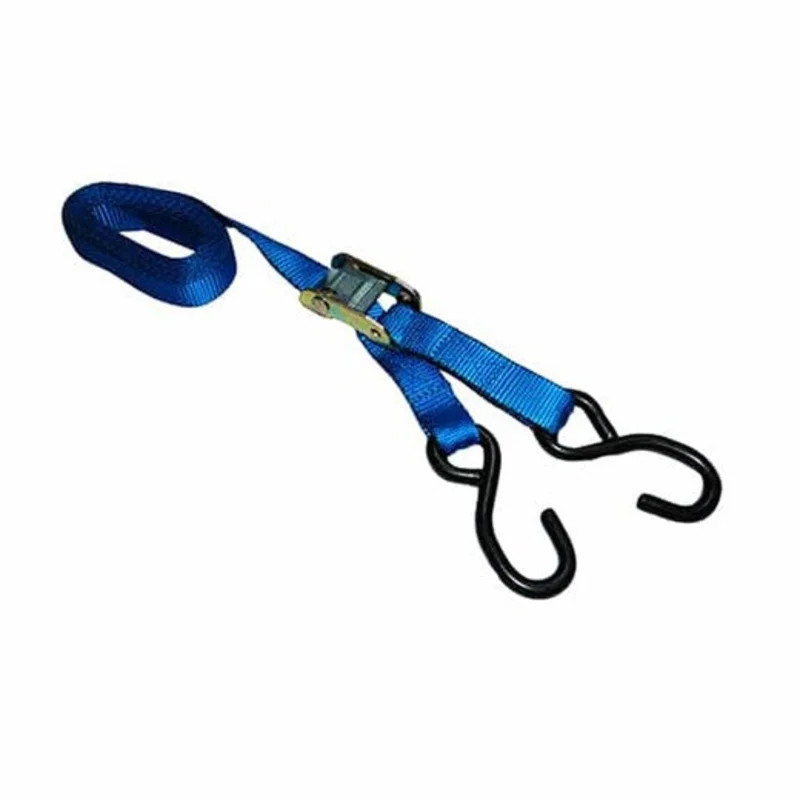 Ancra Cargo 1 x 10 S-Hook Cam Buckle Tie-Down, Clamshell
