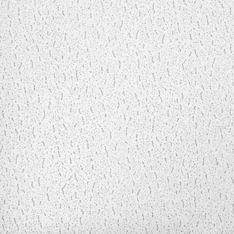Armstrong Ceiling 24" x 24" Textured