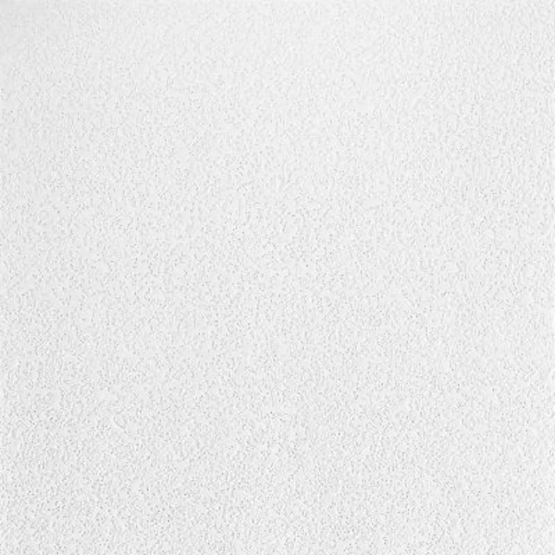 Armstrong Ceiling 24" x 48" Sonoflex Random Fissured Fiberglass