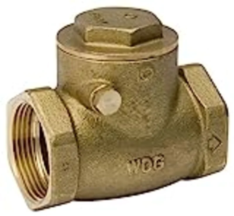 B & K Industries Swing Check Valve Brass Hard Seat Threaded 2"