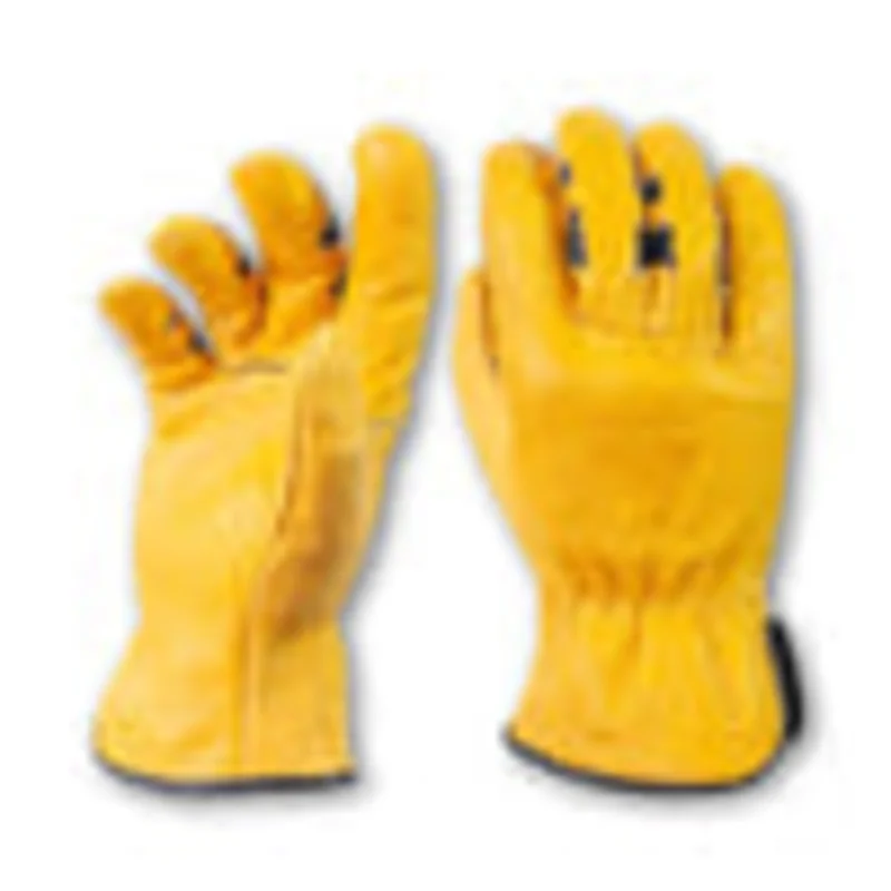 Bear Knuckles Old Faithful - D351