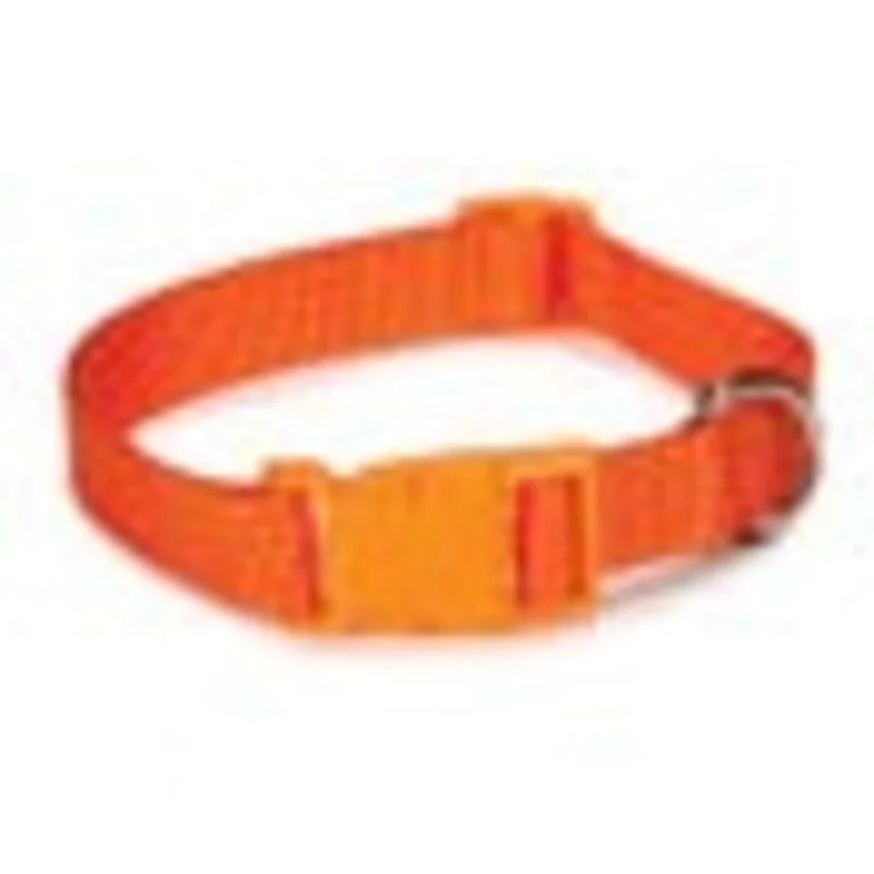 Casual Canine Nylon Dog Collars 14-20 in, Orange Orange