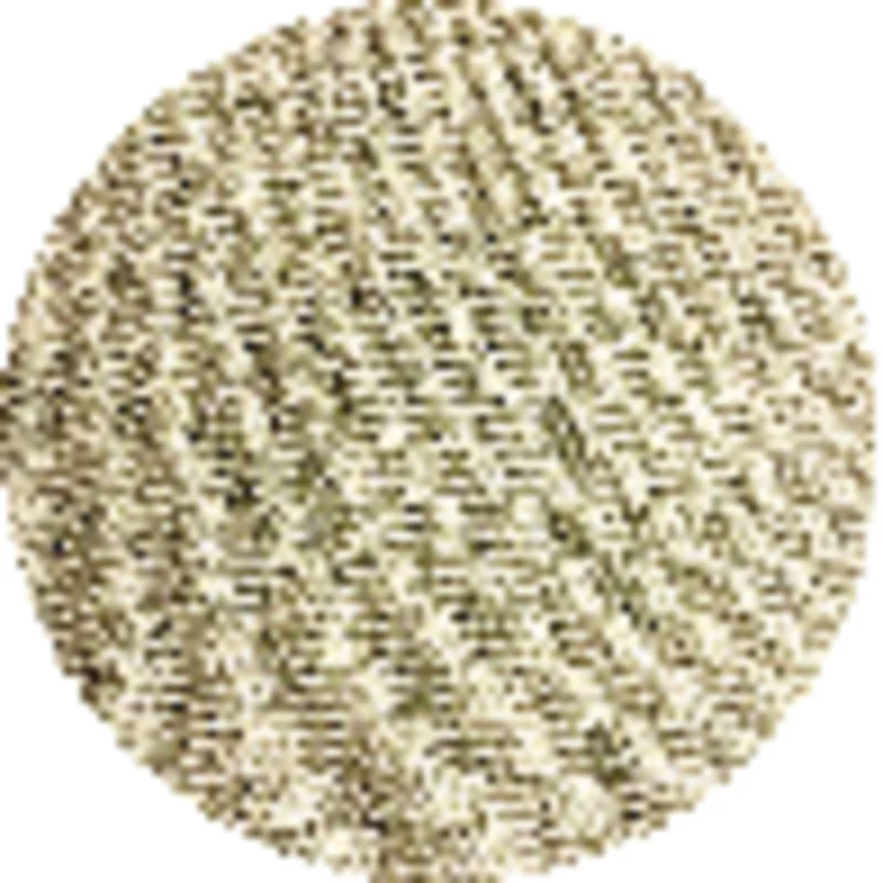 Diablo SandNet 5 In. 180 Grit Sanding Disc with Connection Pad (10-Pack)
