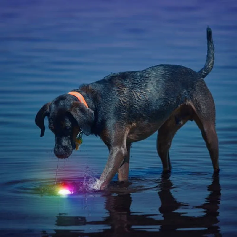 Nite Ize GlowStreak LED Ball - Disc-O Dog Toy