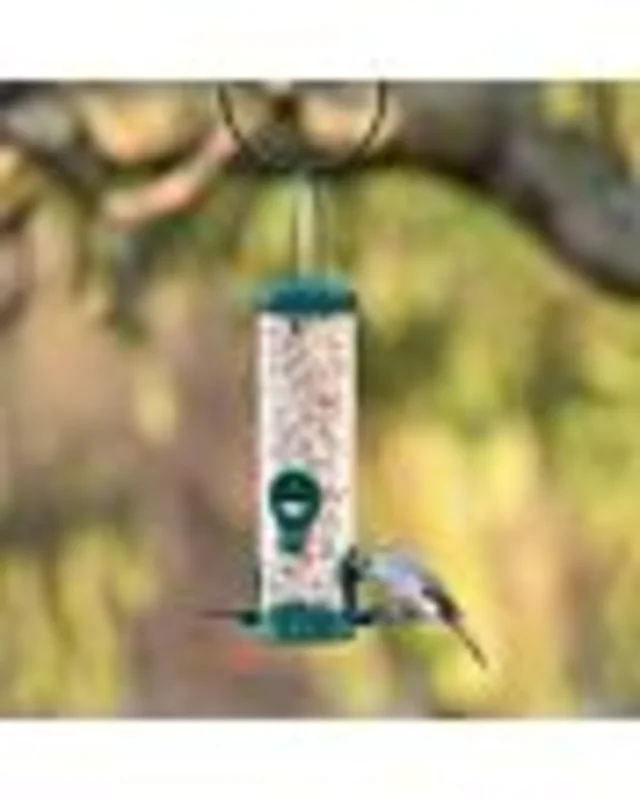 Perky-Pet Green 2-in-1 Tube Bird Feeder Green