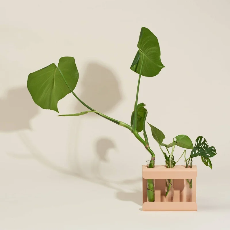 Propagation Station  Wall-Mounted & Tabletop Terracotta