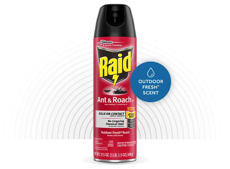 Raid  Ant & Roach Killer 26 17.5 Oz