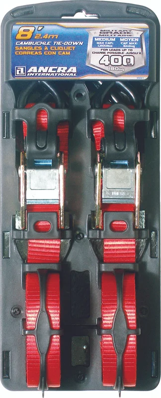 S-Line Cam Buckle Tie-Down 2 Pack 1 x 8