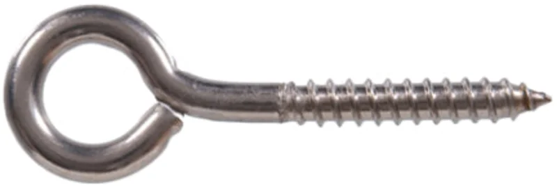 SCREW LAG EYE 3/8 X 4 IN SS