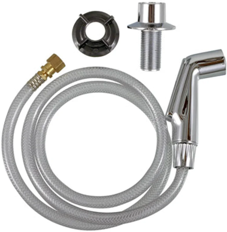 SPRAY HEAD HOSE CHROME