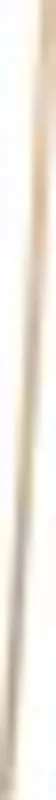Tapered Hardwood Handle 60"