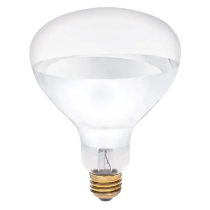 Westinghouse 250 Watt R40 Incandescent Light Bulb